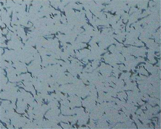 河南pvc地板 河南pvc地板